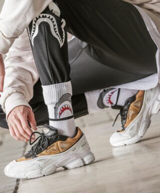 Chaussettes - Requin