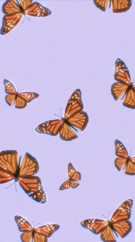 Fond d'écran papillon violet