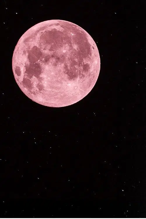 Photo de la lune rose